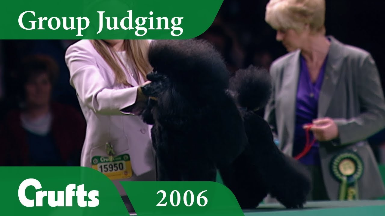 Miniature Poodle wins Utility Group Judging at Crufts 2006