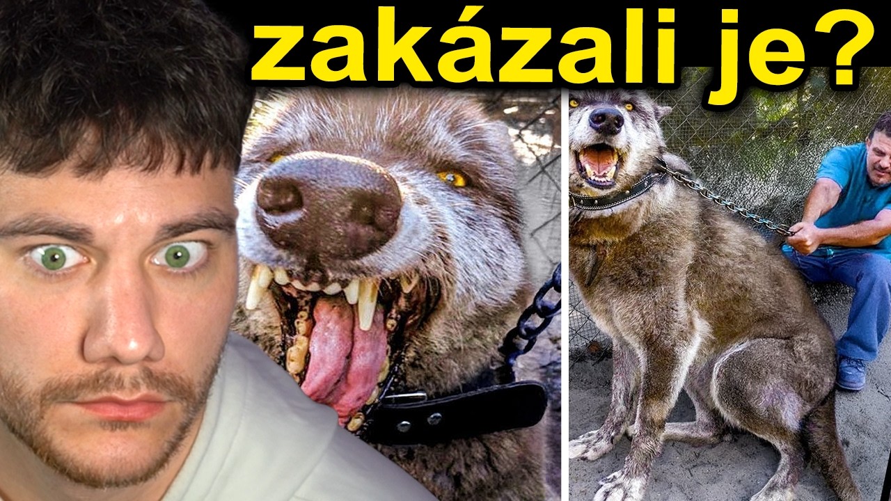 PSI TAK NEBEZPEČNÍ ŽE JE MUSELI ZAKÁZAT..