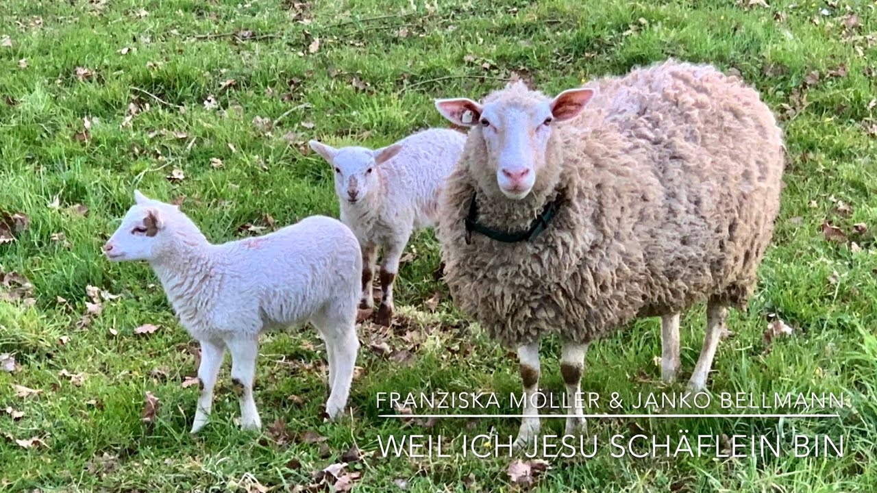 Weil ich Jesu Schäflein bin - Franziska Möller & Janko Bellmann