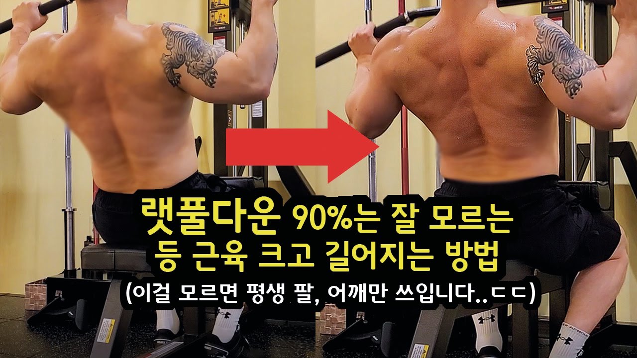 등운동, 랫풀다운 정석으로 하는 방법 (한국에서 제일 정확하고 디테일하게 설명 해주는 영상)