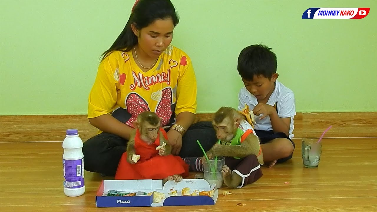 Happy Family Monkey | Adorable KAKO With Cute Baby LUNA Eat Pizza And Drink Milk