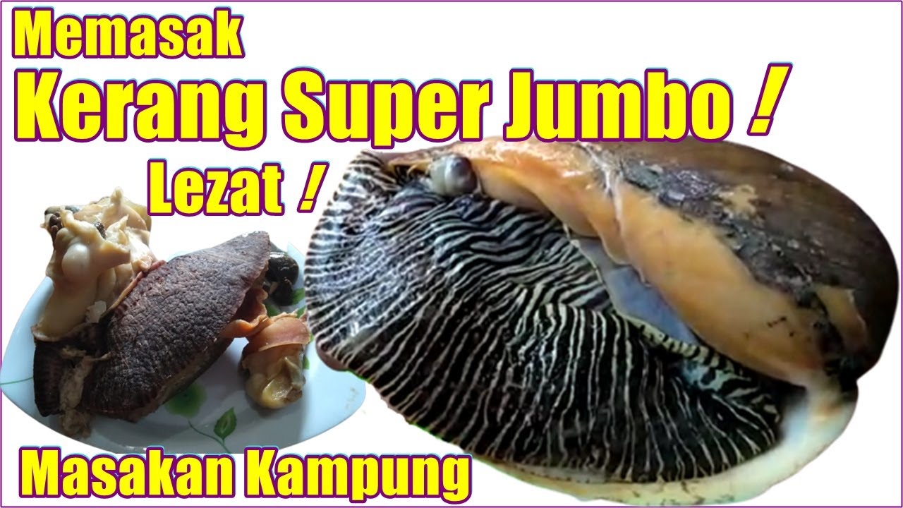 MEMASAK KERANG SUPER JUMBO ! Harga Cuma 15 Ribuan