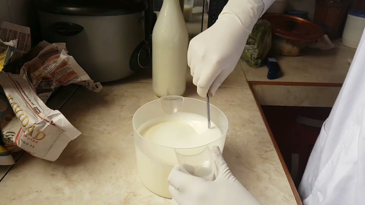 PROCESO DE ELABORACIÓN DEL YOGUR NATURAL- DOP