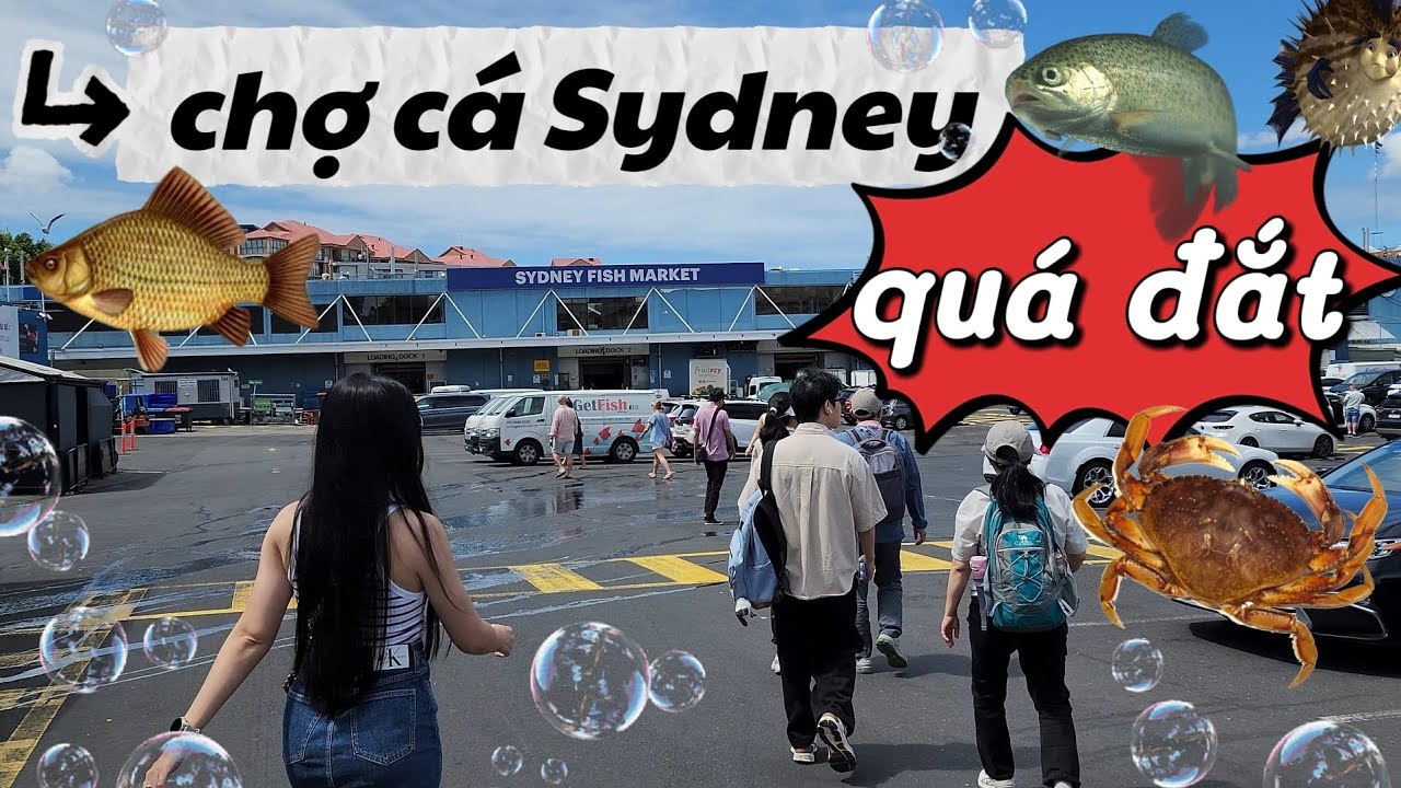 THAM QUAN CHỢ CÁ SYDNEY - FISH MARKET | MIMI OFFICIAL