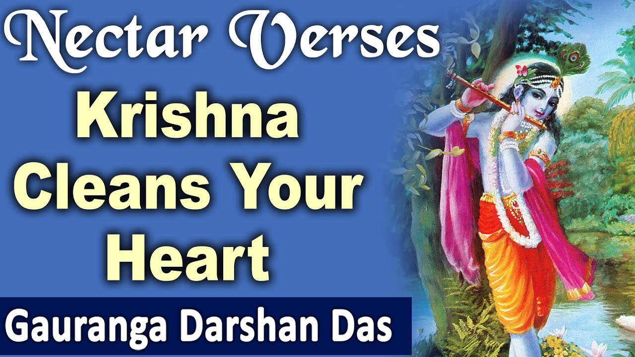 Krishna cleans your heart | Nectar Verses (SB 1.2.17) | Gauranga Darshan Das