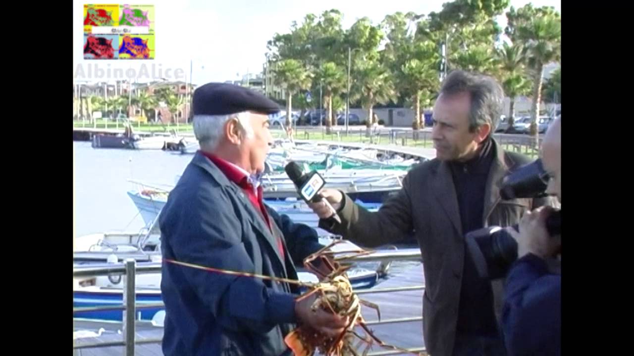 Golfo Aranci Diretta rai