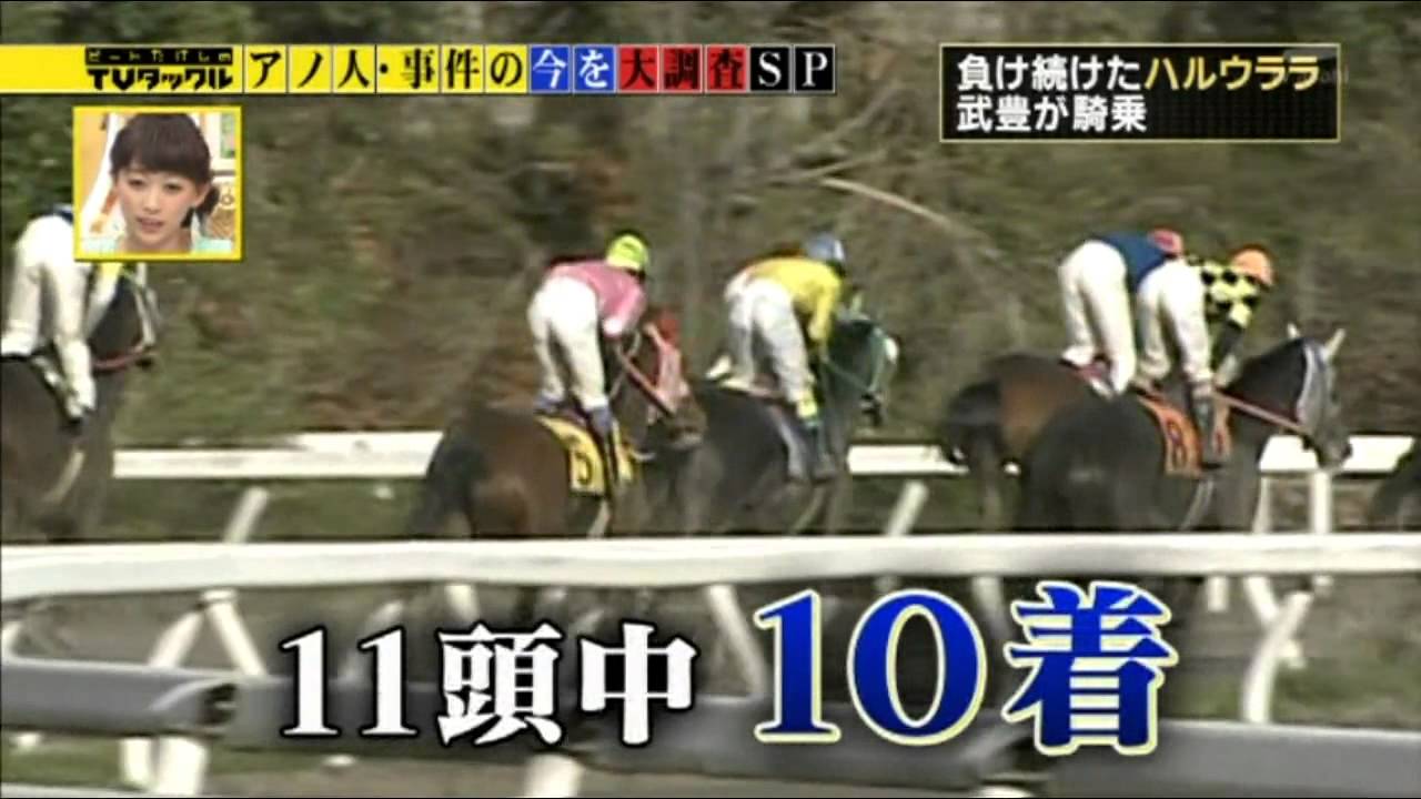 ハルウララその後２