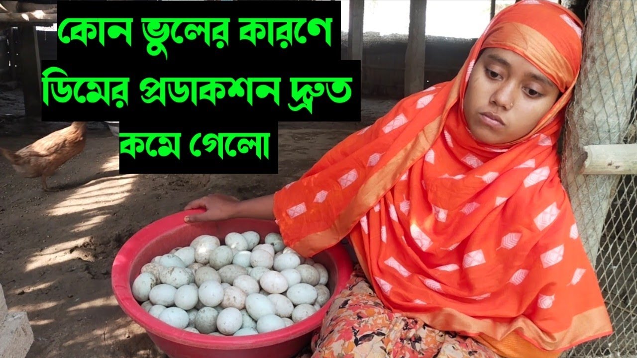 কোন ভুলের কারণে মনিকার খামারে ডিমের প্রডাকশন ৭৫% থেকে ০ হয়ে গেলো।ভিডিও না দেখলে বিশ্বাস,, 