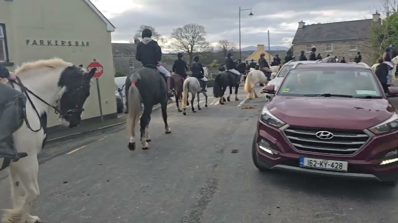 The North Kerry Harriers in Kilflynn Hunt 2024 on Sunday 8th December