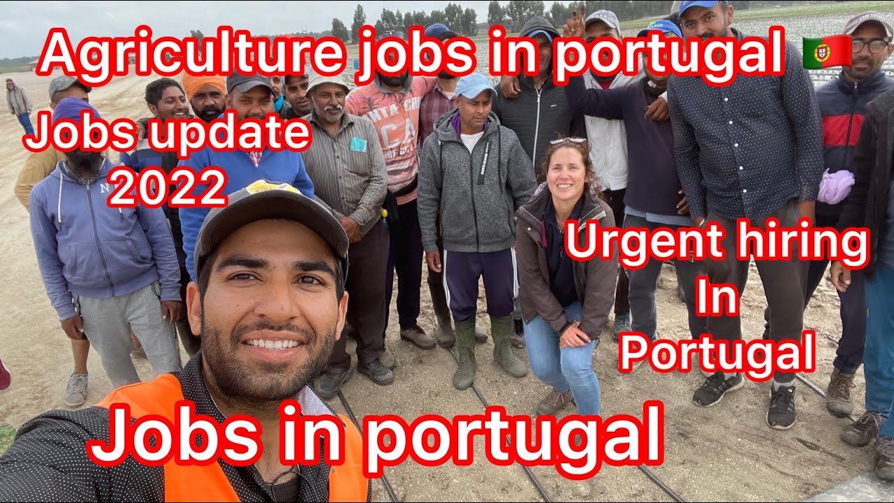Portugal agriculter jobs update 2022 | agriculter companies ny hiring start kar Di hurry up