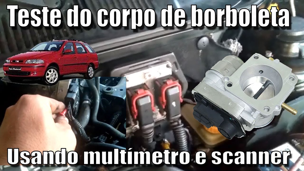 Teste de corpo de borboleta com mult&iacute;metro e Raven Scanner