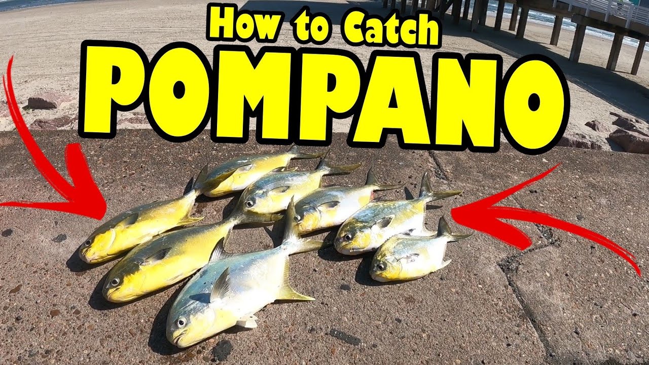 How to catch Pompano at the Pier | Only Need 1 Tip | Fishing Galveston Pier