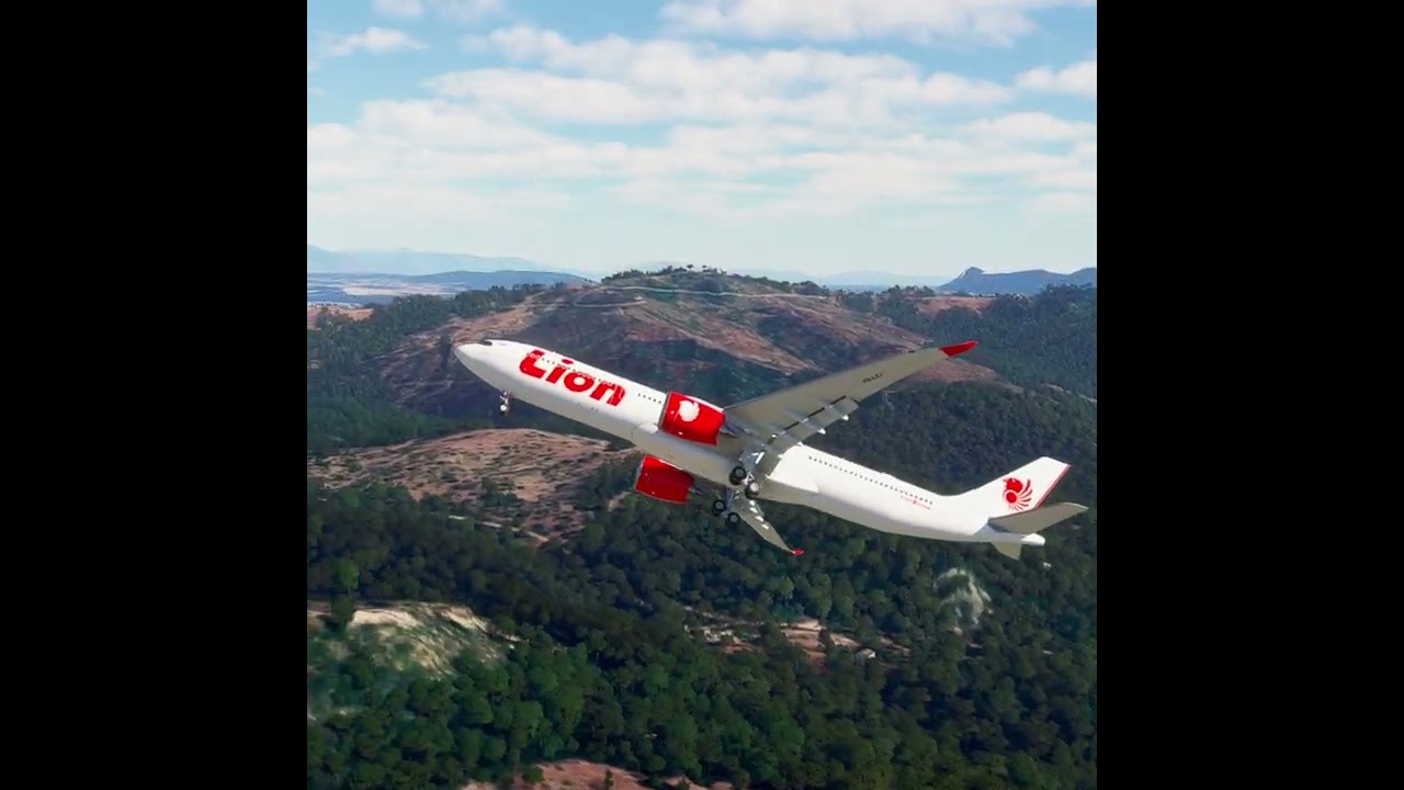 the carelessness of an airplane pilot 0210