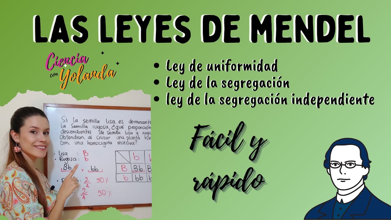 LAS LEYES DE MENDEL. F&aacute;cil y r&aacute;pido. Explicaci&oacute;n clara y sencilla para comprender cada una de ellas.