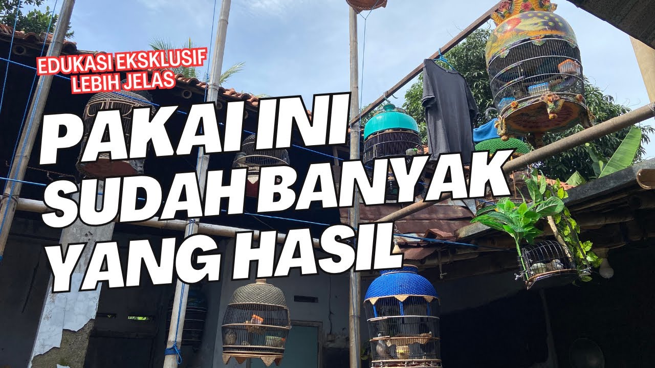 RAHASIA PERAWATAN SEPEPUH PECINTA PEKUTUT ⁉️ PANTES AJA TIDAK MAU DIPUBLIKASIHKAN ‼️