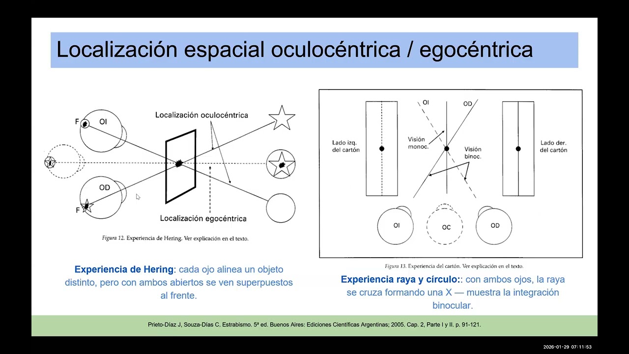 Visión Binocular, Balance Binocular en Refracción y Ambliopía