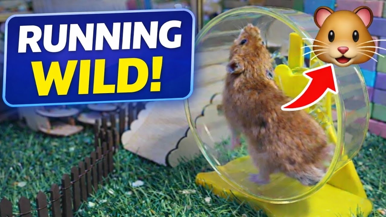 Tiny Athlete’s Outdoor Play & Wheel Training
