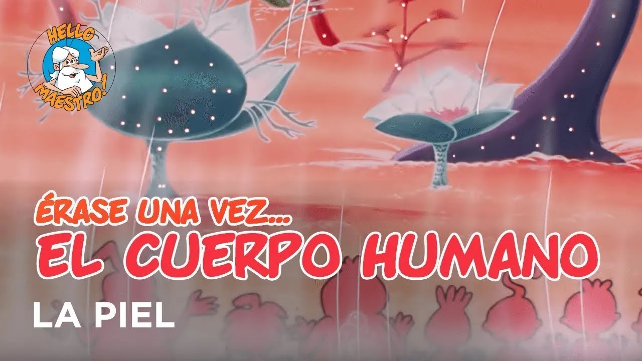 Erase Una Vez... El Cuerpo Humano - La piel
