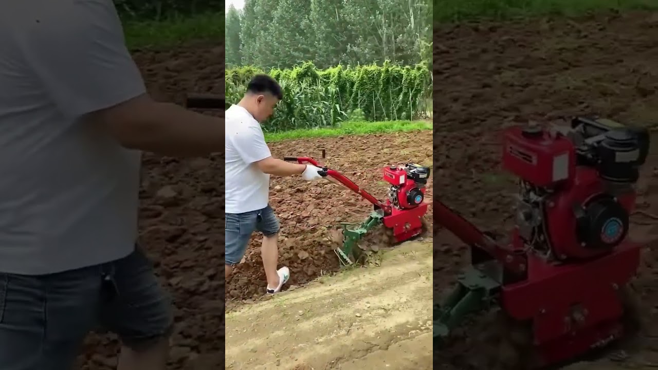 Small Power weeder with chain #agriculture