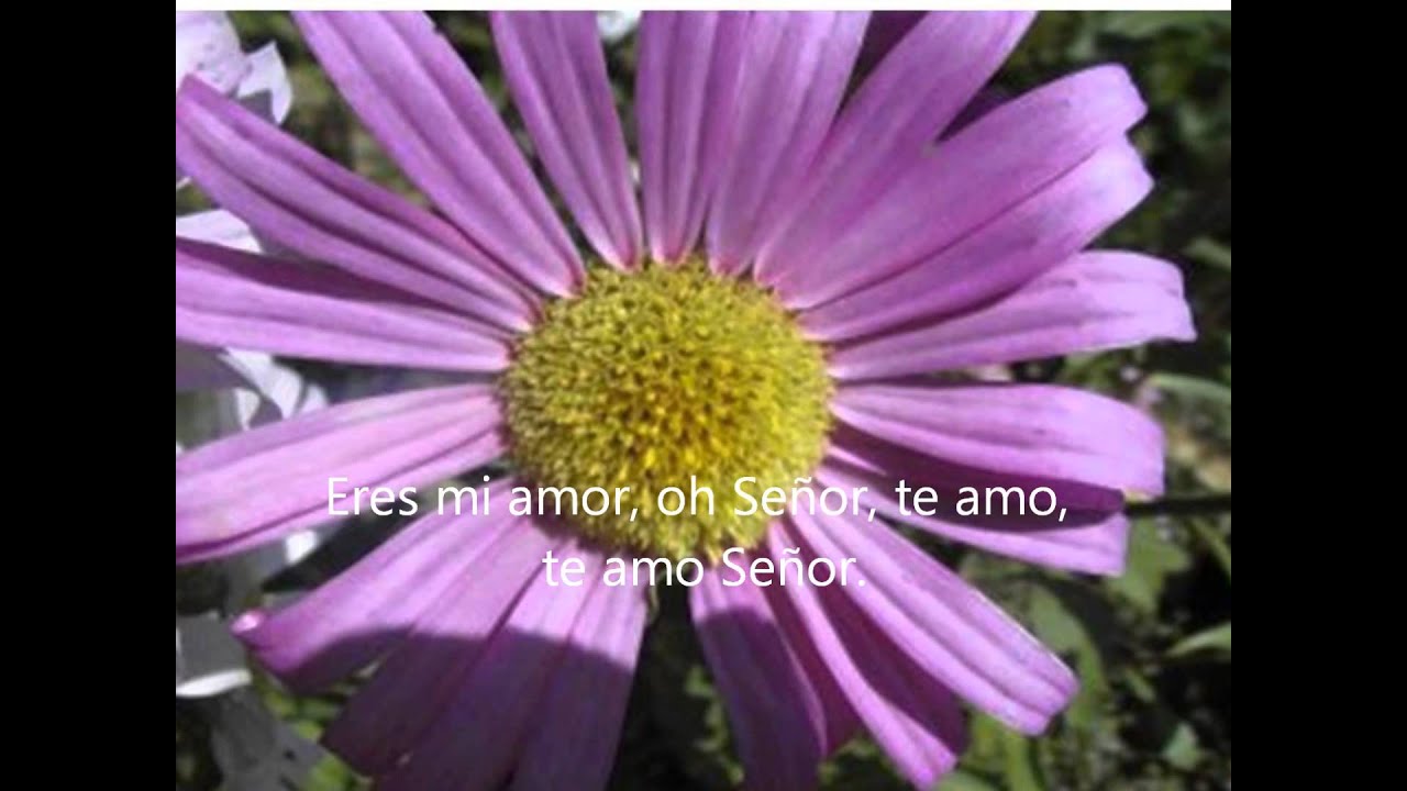 GUARDA SEÑOR MI  CORAZON