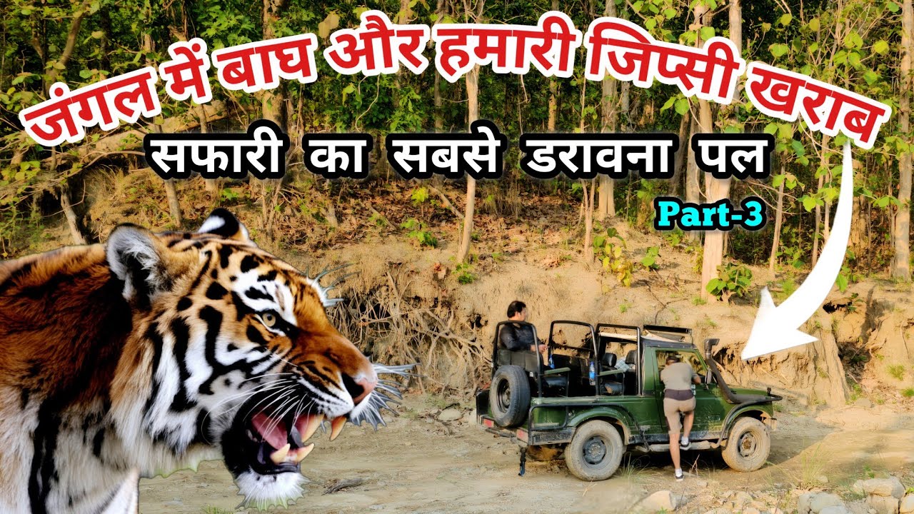बाघ के इलाके में जिप्सी हुई खराब | Scary Truth of Jungle Safari Nandhaur Wildlife Sanctuary | Part-3