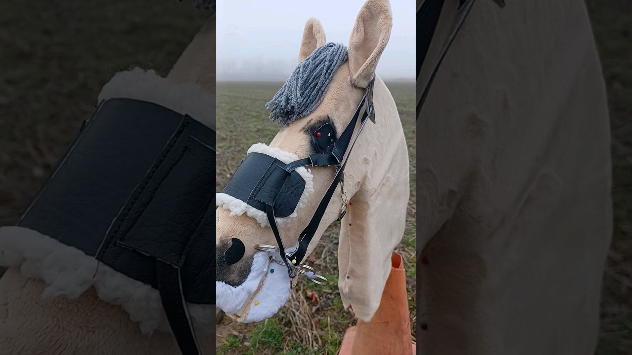 My new hobby horse😮&zwj;💨