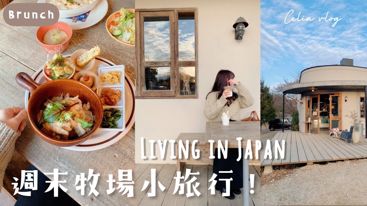 Japanese office worker's daily vlog｜Make dinner, Pasture tour, Have lunch at Cafe