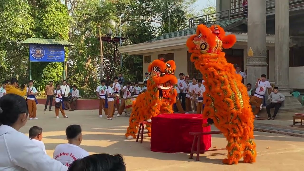 တြုဂ်ဆိုဒ်ထူရူ့တုံ&bull;ဇာဒီသိုင့် (Chinese Traditional Lion Dance, 2025) 舞狮 (wǔshī )
