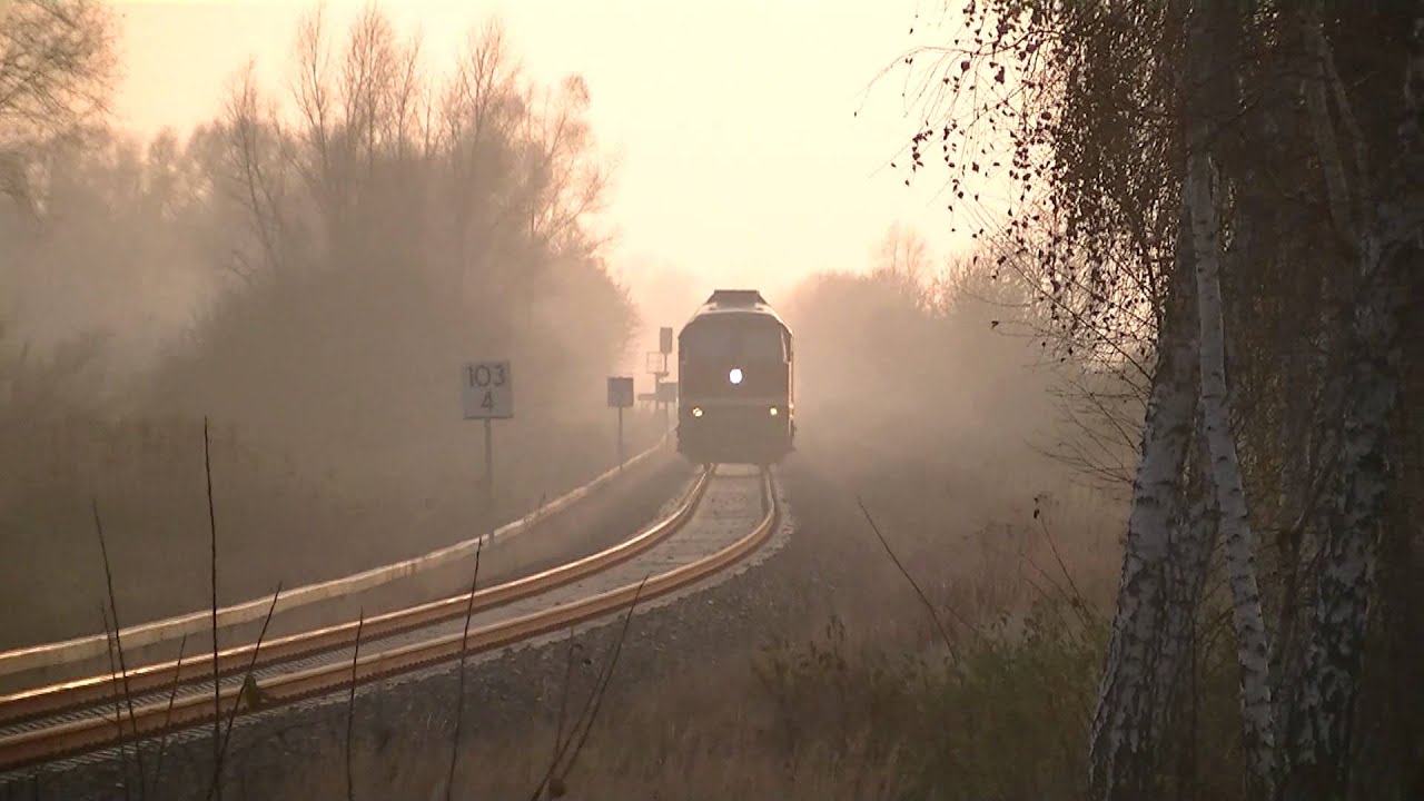 BR 232 004-2 der LEG Ludmilla als Lz mit Makro - Sonne und Nebel in Petershagen [HD]