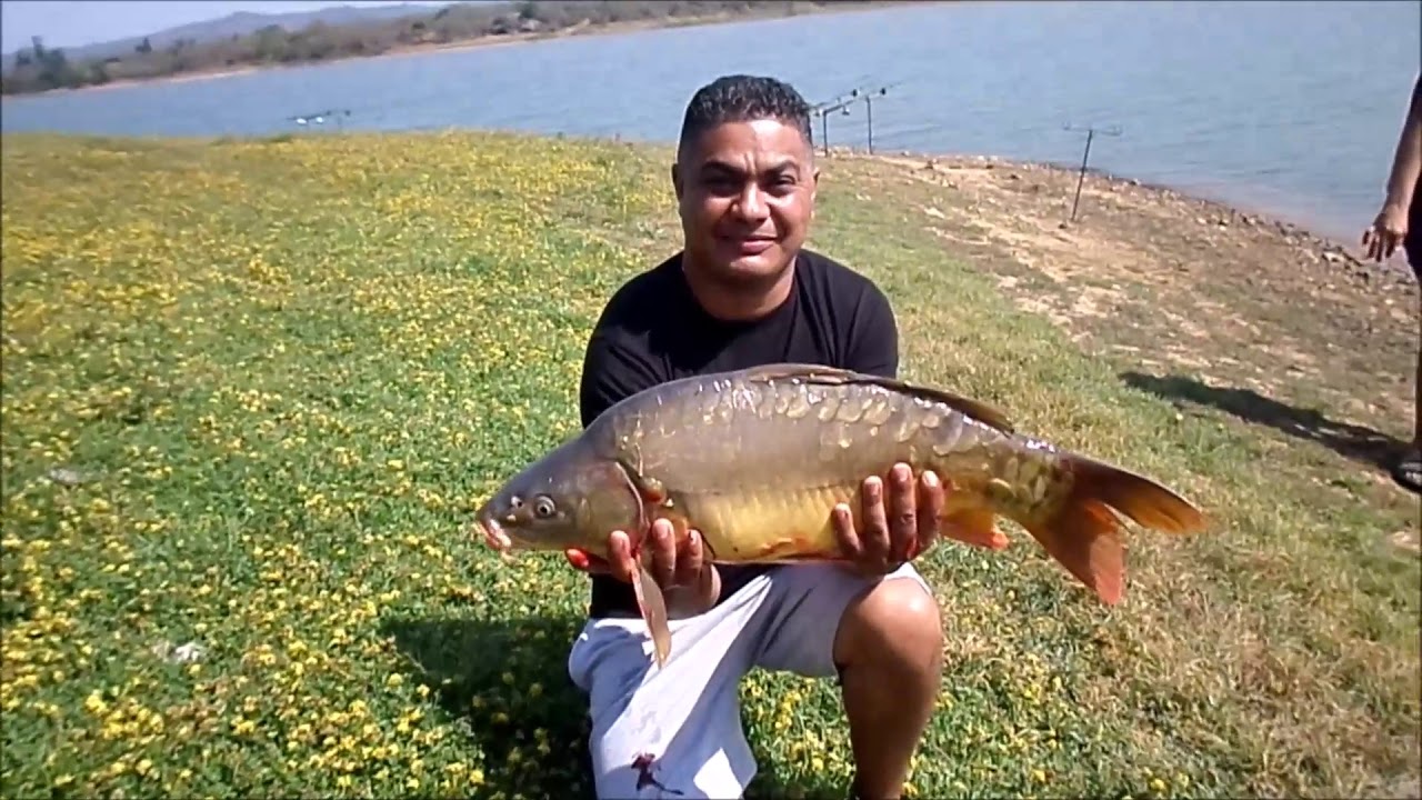 KAPHOM varswater hengel : albasini dam , beja hengel paradys , limpopo