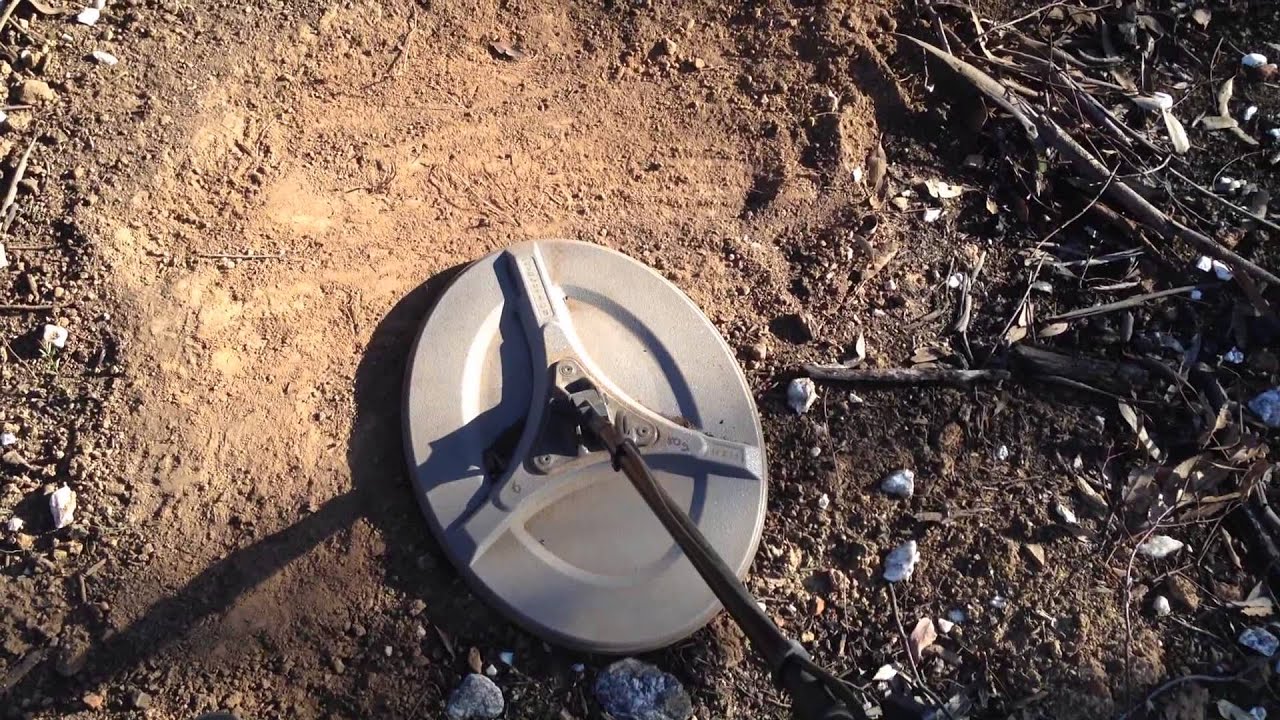 Evolution 17x13 NF B coil gold targeton the GPX 5000