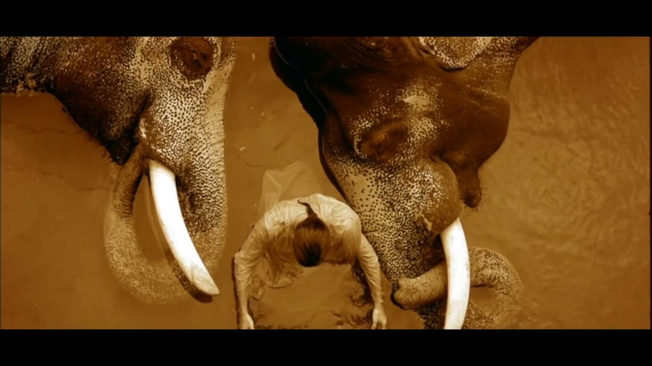 Catapulta - Give Them a Chance (Original mix)