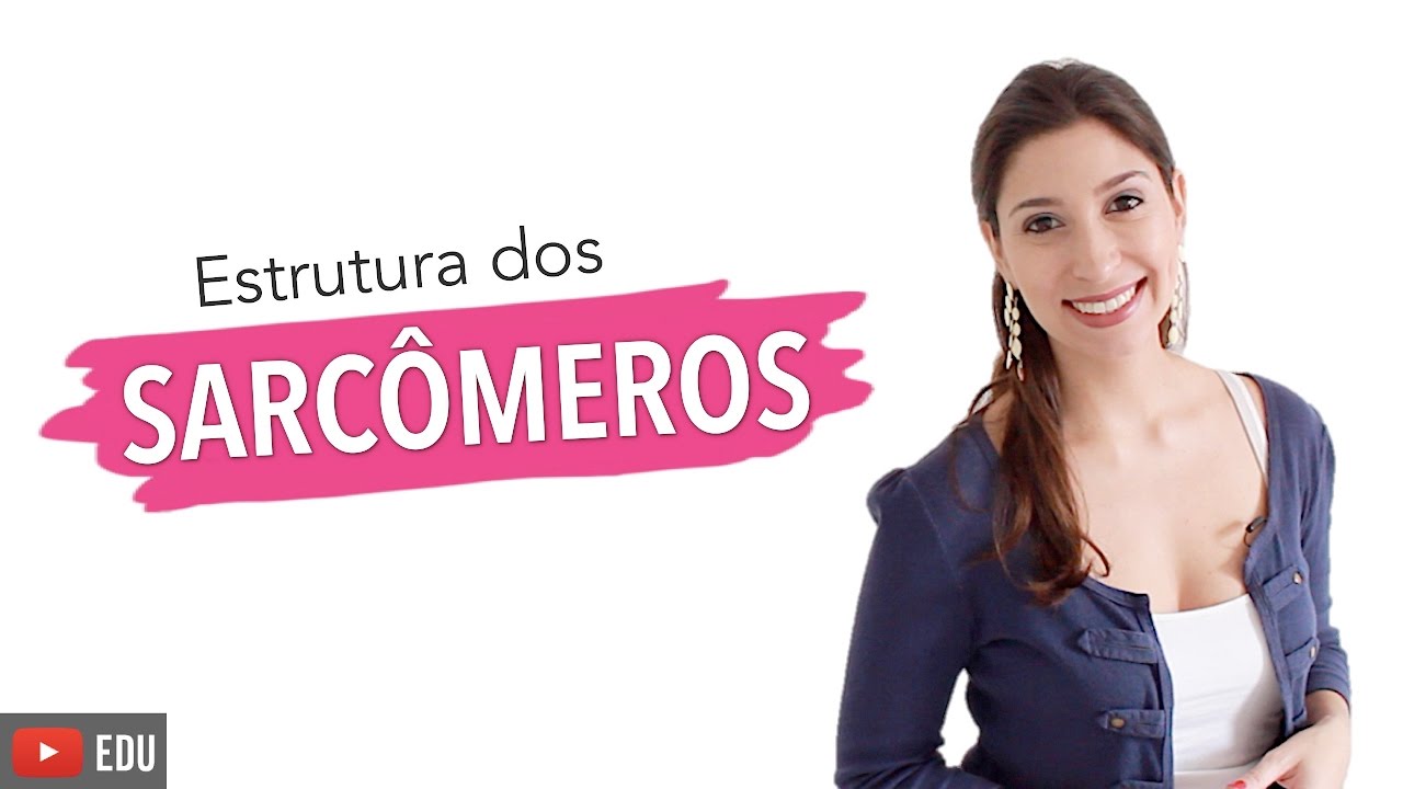 M&uacute;sculo Esquel&eacute;tico 3/6: Estrutura b&aacute;sica dos Sarc&ocirc;meros | Anatomia e etc.