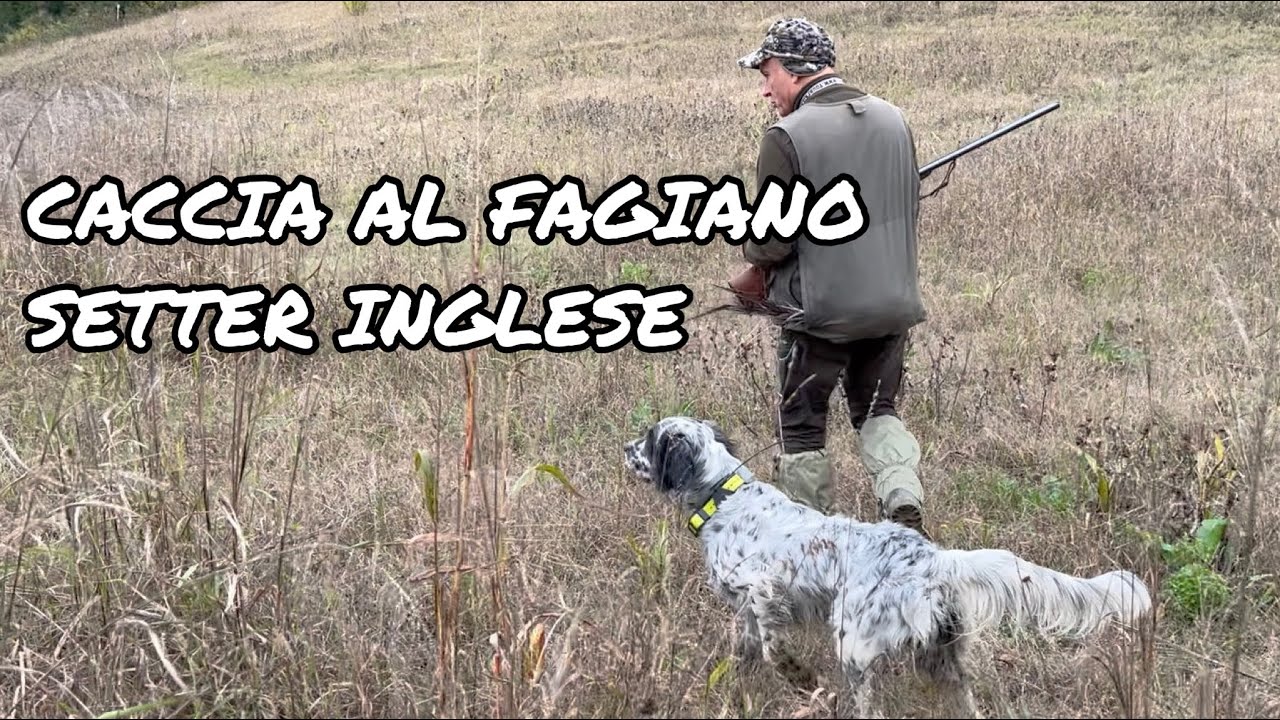 Caccia con il cane da Ferma | POSTO MAGICO