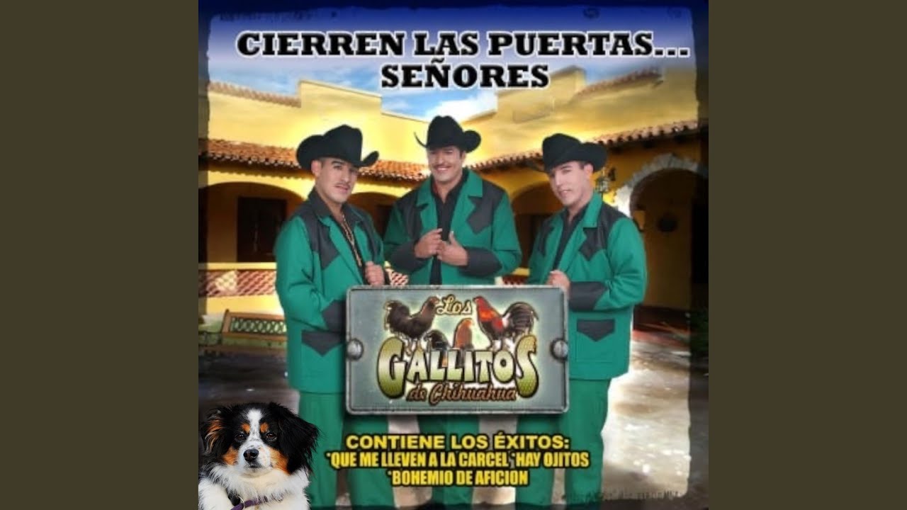 Que me lleven a la carcel-Los Gallitos de Chihuahua