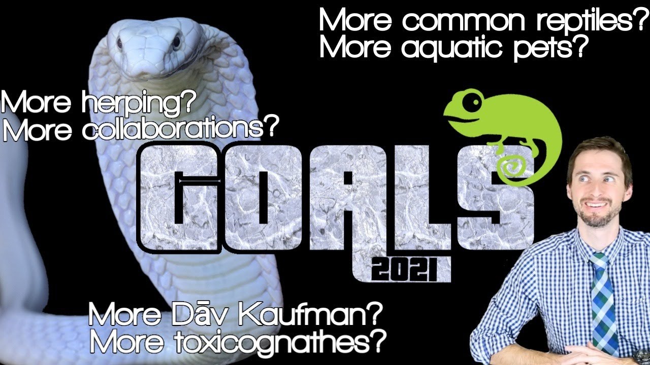 Social Distancing with Clint: What do you want to see from Clint's Reptiles in 2021? (Week 40)