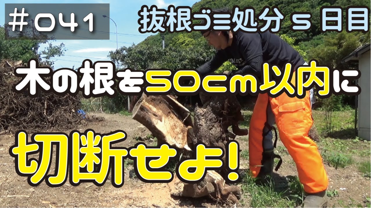 ≪週末DIYから始める移住への道≫ ＃041　根っこ処分5日目　根っこを50cm以内に切断せよ！チェーンソー目立て初心者の末路≪アラフィフ開拓≫