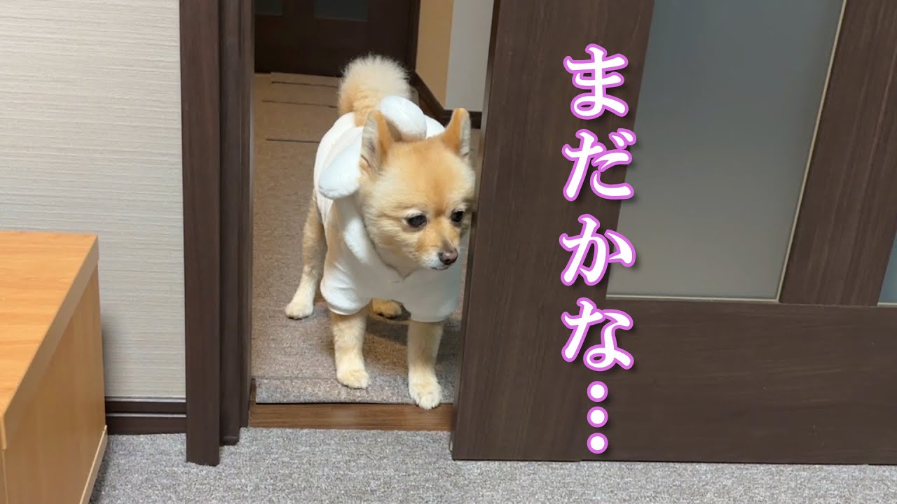 【お留守番】息子の帰りを待っている姿を見たら、胸が締め付けられました…