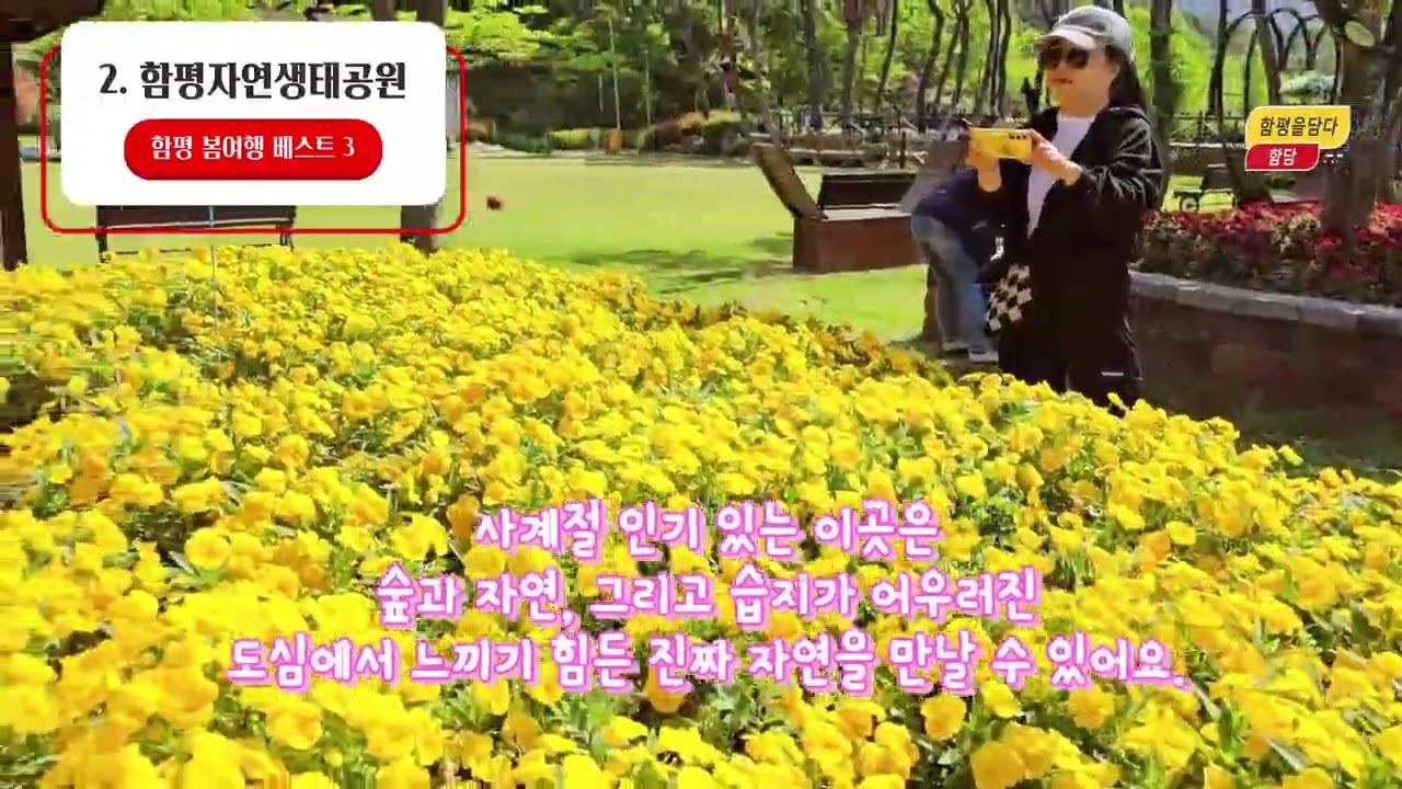 전남 함평 봄여행 베스트 3 #함평엑스포공원&함평천생태공원#함평자연생태공원#함평수산봉치유의숲#함담#함평군농업기술센터 #함평군#함평은지금#전남가볼만한곳#전남봄여행지추천#함평가볼만한곳