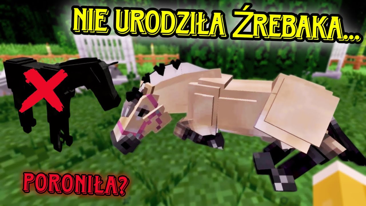 REALISTYCZNY MOD SWEM HODOWLA ŹREBAKÓW MINECRAFT