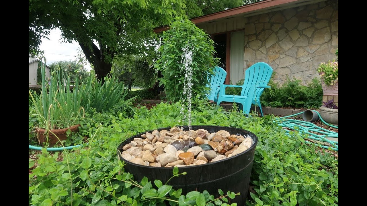 DIY solar fountain & secret ingredient for healthy chickens!