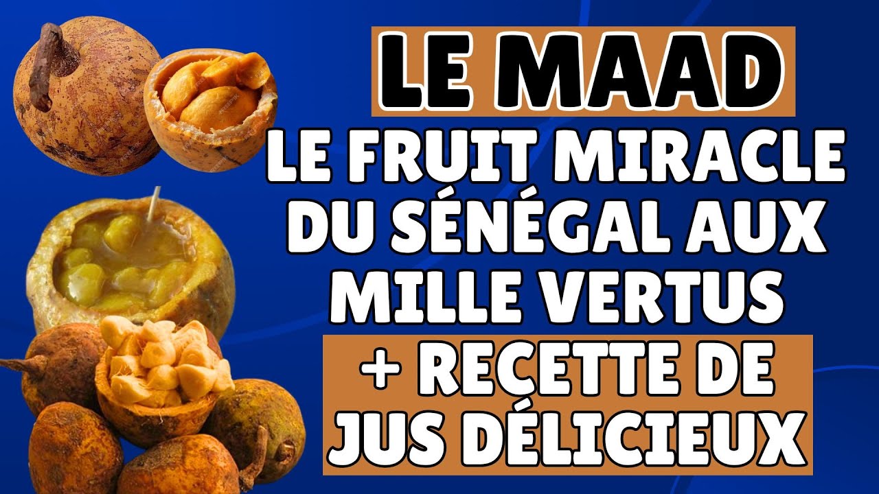 Le Maad : Le Fruit Miracle du Sénégal aux Mille Vertus !