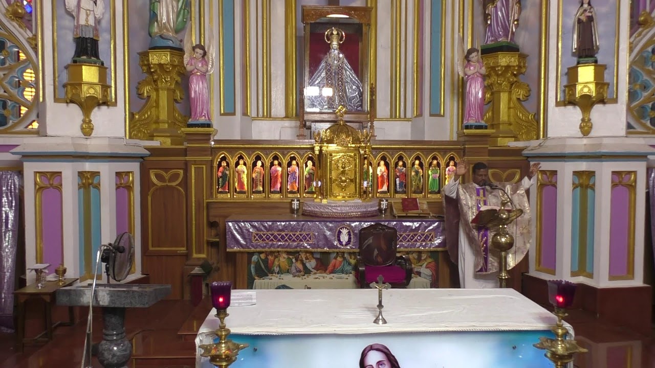 ༺♰༻ 🅛🅘🅥🅔 𝑽𝒂𝒅𝒂𝒗𝒂𝒊 𝑷𝒂𝒓𝒂𝒍𝒐𝒈𝒂 𝑴𝒂𝒕𝒉𝒂 - Daily Mass in Tamil -  2025 - திருப்பலி