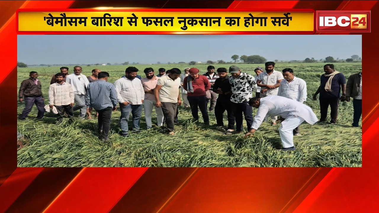 'बेमौसम बारिश से फसल नुकसान का होगा सर्वे' | Congress ने की किसानों को राहत राशि देने की मांग