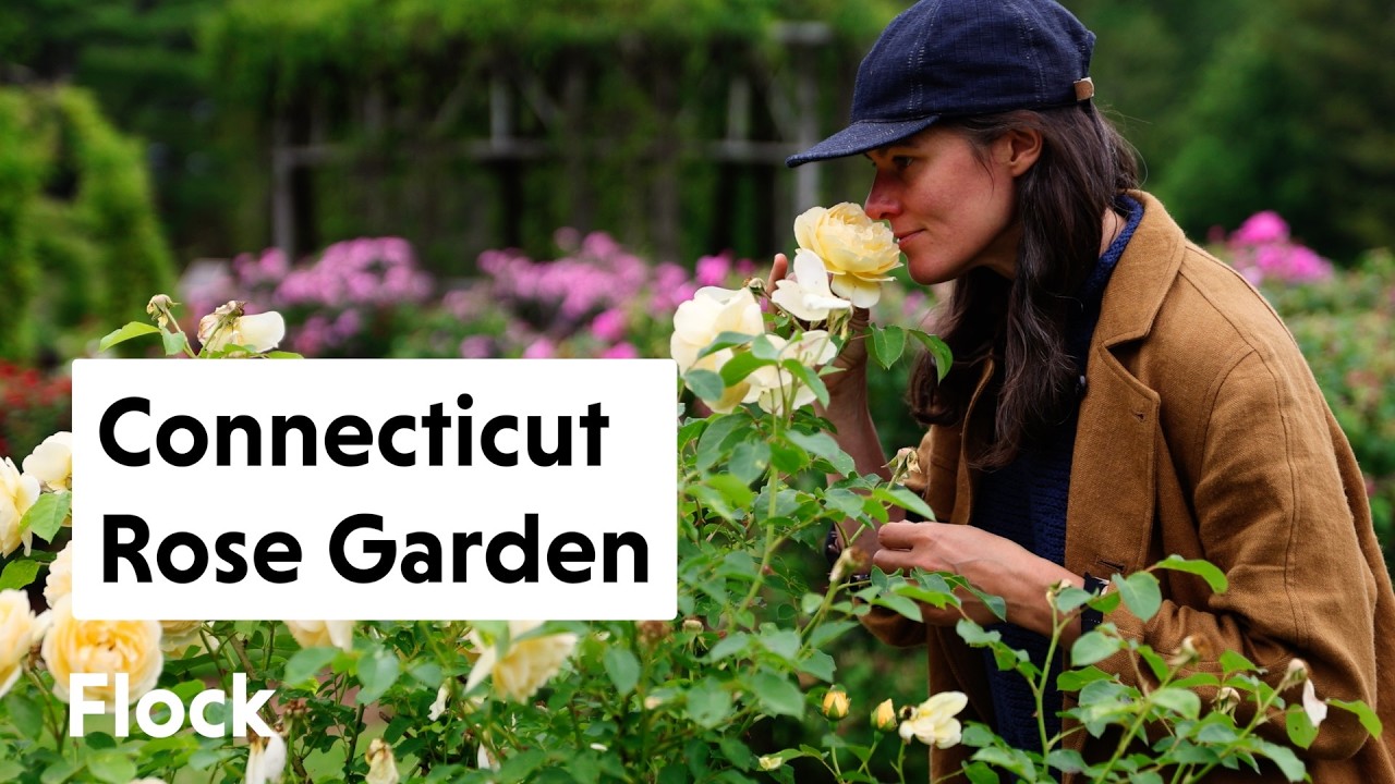 ROSE & PERENNIAL GARDENS: Elizabeth Park Tour — Ep. 317