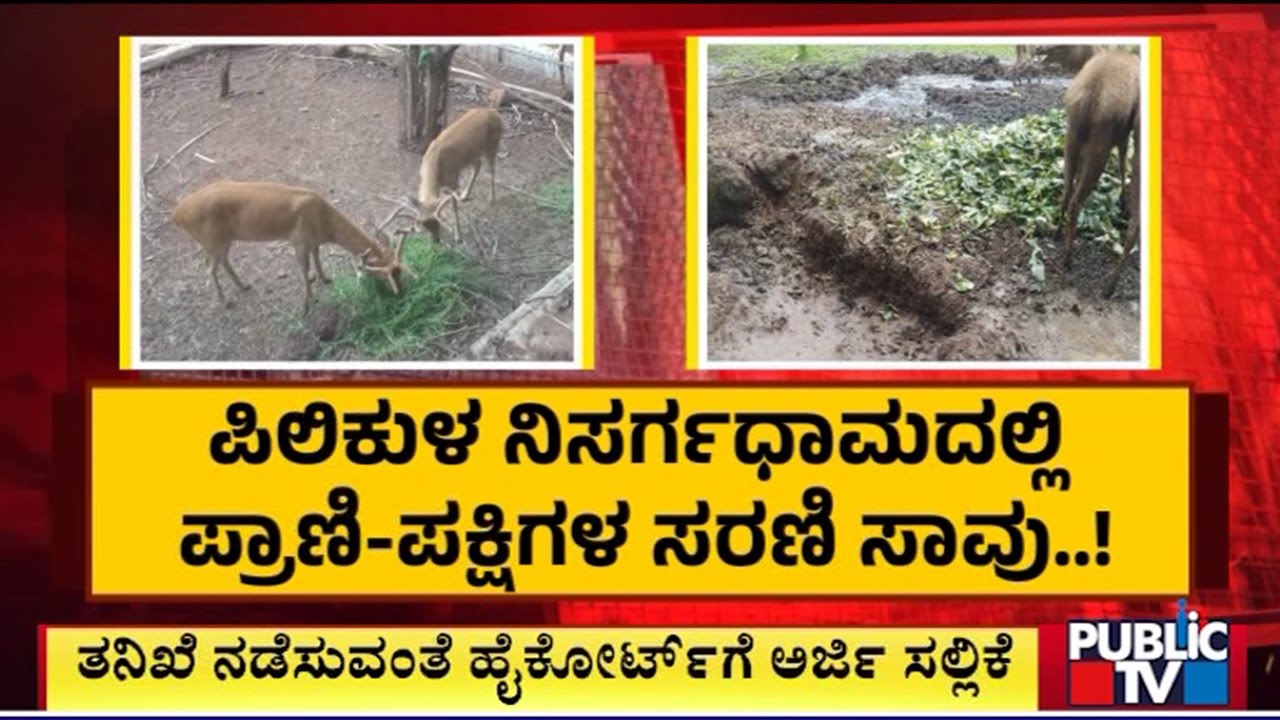 Central Zoo Issues Notice To Pilikula Nisargadhama Chief Wildlife Warden | Public TV