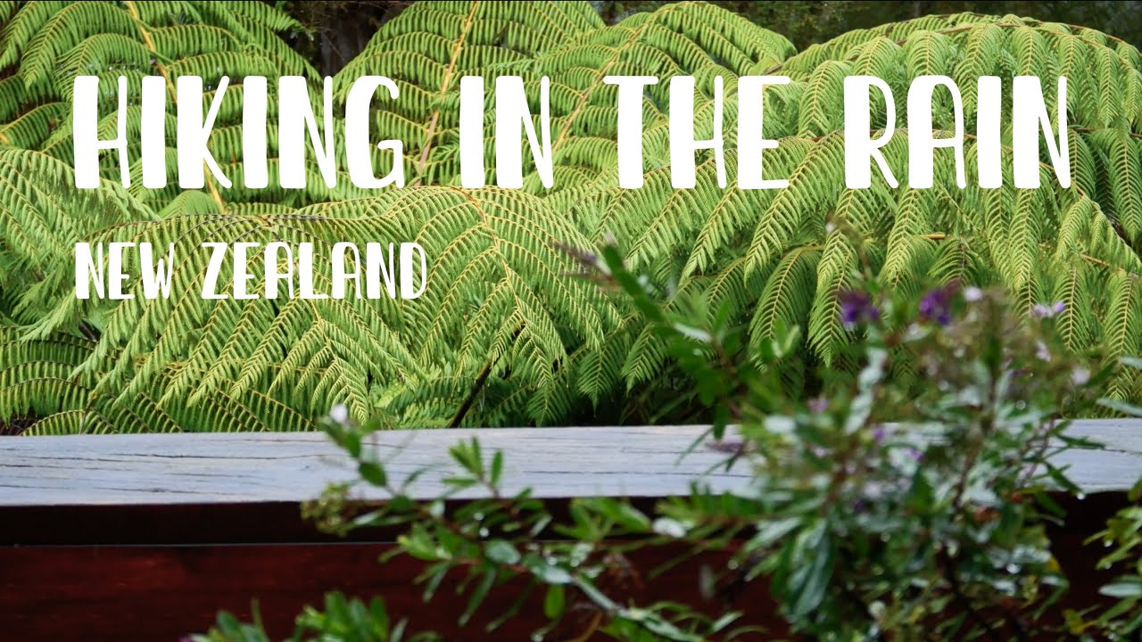 Hiking in the Rain | A Road Trip in New Zealand