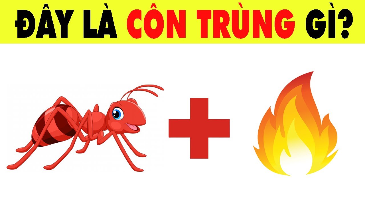 THỬ TH&Aacute;CH : Đo&aacute;n T&ecirc;n C&aacute;c Lo&agrave;i C&Ocirc;N TR&Ugrave;NG - C&acirc;u Đố Vui | Nhanh Tr&iacute;