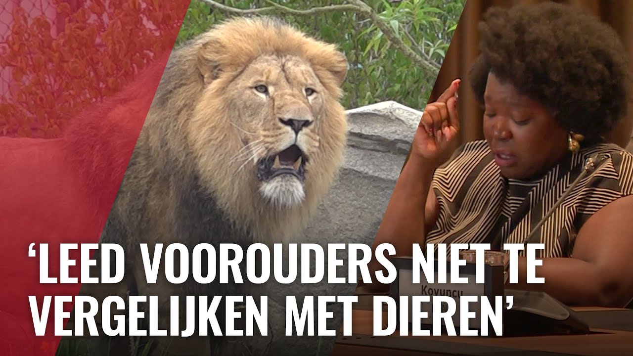 Emotioneel debat van de commissie over toekomst Artis
