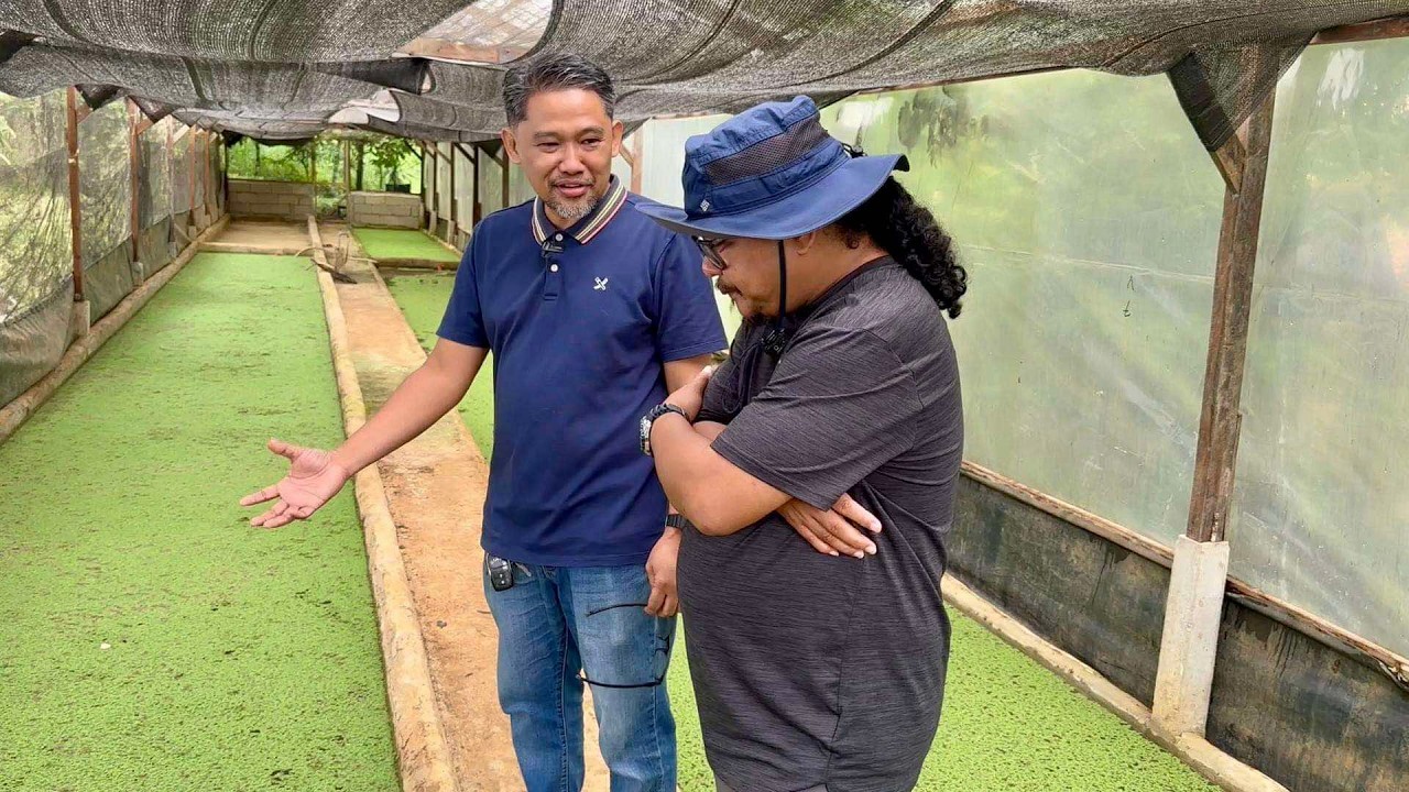 PERFECT MODEL FARM na DAPAT GAYAHIN: WALANG TAPON sa FARM at RESTO, Balik Lahat as FEEDS at INPUTS!